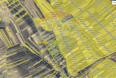 Teren agricol extravilan de 10200 mp, în Stroiești - 2