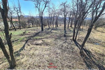 Casă cu Teren 4391 Mp în Cornu - 2