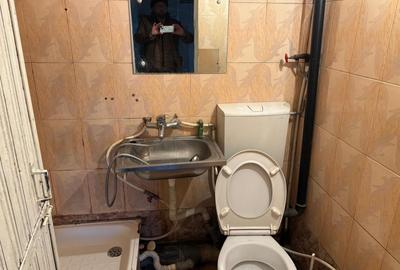 1 camera intr-un apartament in zona Pacurari - 3