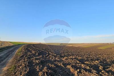 Teren de 30077 mp, în Stroiești - 2