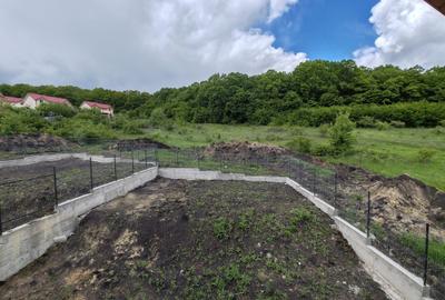 Casă individuală la Chinteni - 3