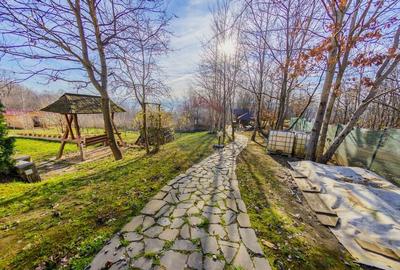 VILA DE VIS CU TEREN GENEROS, DE VANZARE - 50