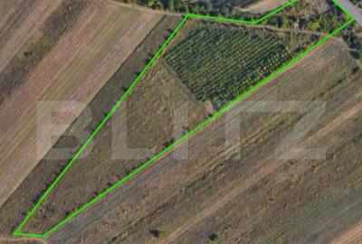 Teren 24.712 mp, parcelabil, zona Nord - 1