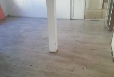 Inchiriez Vila Piata Muncii, metrou, P+3, 430 mp, 12 camere, gaze, apa, curent, aer conditionat - 8