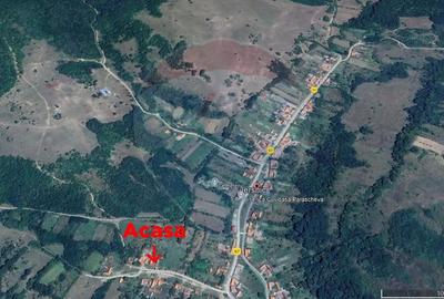 Casă cu 3 camere cu Teren 5786 Mp în Ierșnic - 3