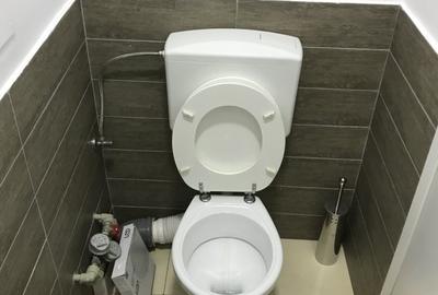 Proprietar - inchiriez spatiu comercial in zona calea mosilor - 2