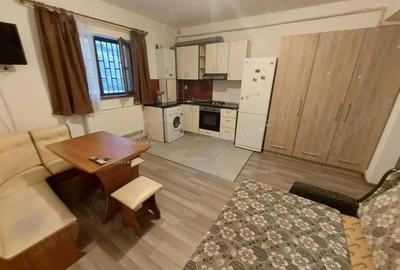 Apartament cu 1 camera in Tatarasi-Doi Baieti,bloc nou - 6