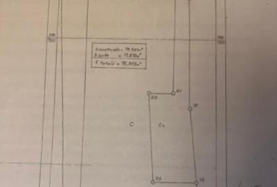 VANZARE VILA 9 CAMERE 320 MP UTILI CURTE INDEPENDENTA . - 9