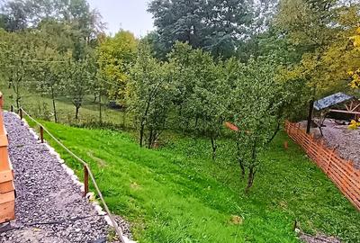 Campina, Valea Prahovei, Valea Doftanei - 4