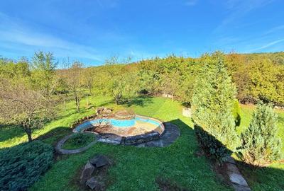 Casa de vanzare in Savarsin - 29