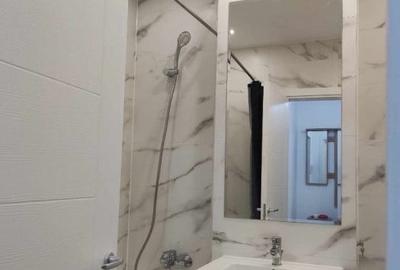 Garsoniera, 40 mp, bloc nou, centrala, Hils Brauner - 7