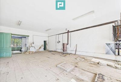 Casă cu 4 camere cu Teren 1510 Mp în Cenad - 6