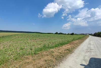 Corbeanca-teren-PUZ-proiect-avans cu rest de plata in 5 ani - 10