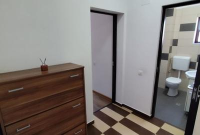 Apartament cu 3 camere decomandat, mobilat în Haliu - 12