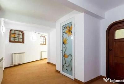 Spațiu comercial, de 141 mp, în Ferdinand - 4