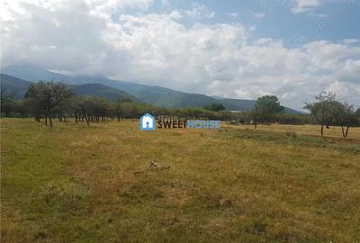 Teren de vanzare in Sambata de Sus - 2