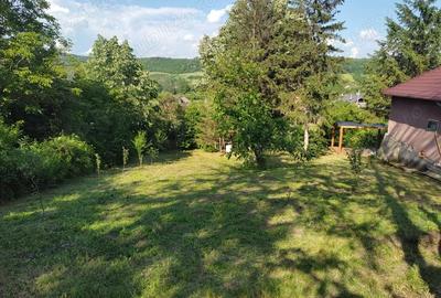 Casă cu 3 camere cu Teren 1400 Mp în Schitu Scoicești - 2