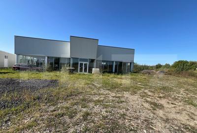 Hale industriale de inchiriat 2.300 mp teren, 2 hale c - 20