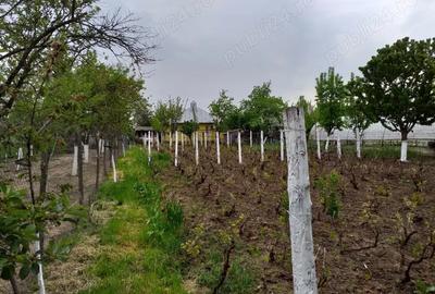 Casă cu 4 camere în Sărățeni - 4