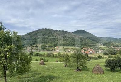 Teren intravilan, 4364 mp, in Luncoiu de Jos - 4