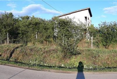 Casă cu 3 camere în Viile Satu Mare - 2