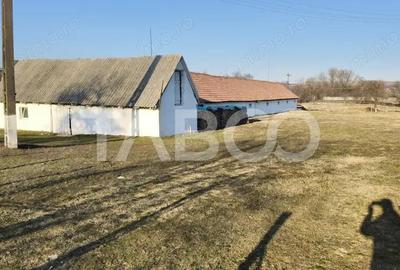 Casă cu 3 camere cu Teren 5039 Mp în Pianu - 13