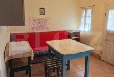 Casă cu 3 camere cu Teren 3900 Mp în Central - 2