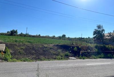 Teren Construcții intravilan de 1303 mp, în Apahida - 4