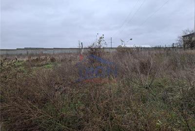 Teren Construcții intravilan de 600 mp, în Brănești - 3