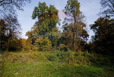 Domeniu Baronial de vanzare in localitatea CIL , Judet Arad - 10
