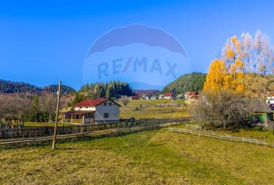 Teren Construcții intravilan de 13800 mp, în Fundățica - 11