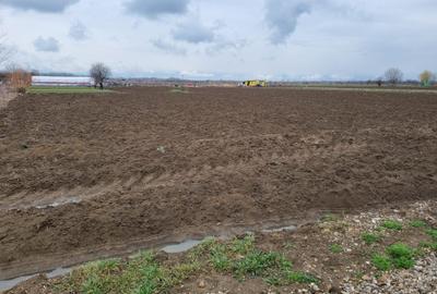 Vand Teren Comunca Berceni - Padurea Craiului - 1