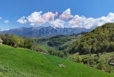 Teren de 5694 mp, în Moieciu