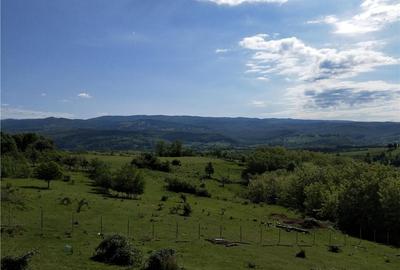 Casă cu 3 camere în Brusturi - 3