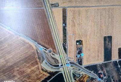 Teren de 8166 mp, în Ciorogârla - 4