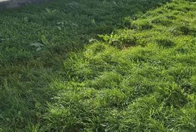 Casă individuală cu 5 camere cu Canalizare în Lumina - 26