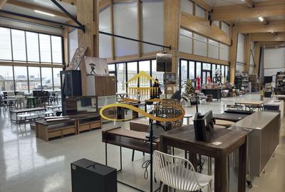 Showroom | Stradal | Roman/Neamt - DE INCHIRIAT - 4