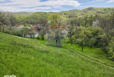 Teren de 4733 mp, în Drajna - 2