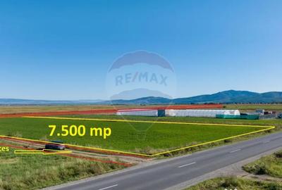 Teren de 7500 mp, în Tărlungeni - 1