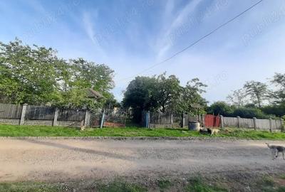 Casă cu 2 camere cu Teren 1282 Mp în Mihăilești - 3