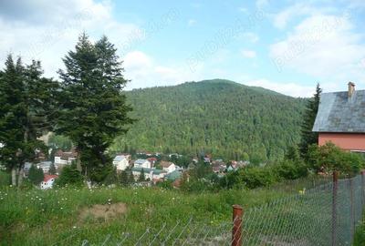 Teren intravilan situat in Busteni-Valea Alba - 2