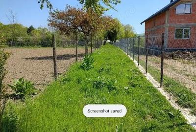 Teren de 3050 mp, în Plopu - 5