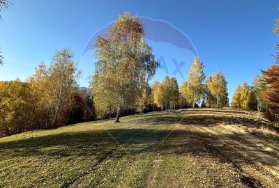 Oportunitate de investiție ! Teren de vis în Pestera - 125.370 mp - 13