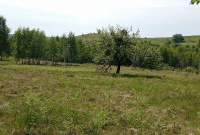 Teren de 900 mp, în Casele Micești - 2