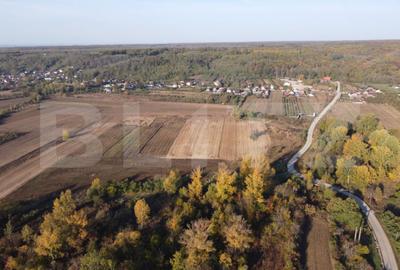Casă cu 2 camere cu Teren 1000 Mp în Valea - 5
