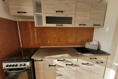 Apartament cu 2 cam D complet mobilat si utilat Podul de Fier - 3