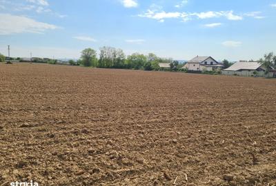 Teren de 1500 mp, în Măgura - 5