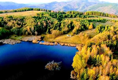 Teren de 40000 mp, în Chiliile - 4