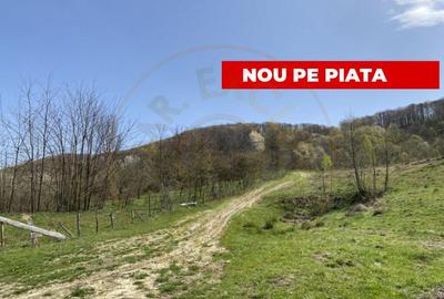 Teren 13.000 mp zona de deal - Aninoasa AG - 3