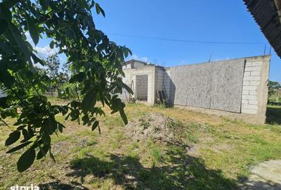 Casă cu 4 camere cu Teren 1387 Mp în Murighiol - 2
